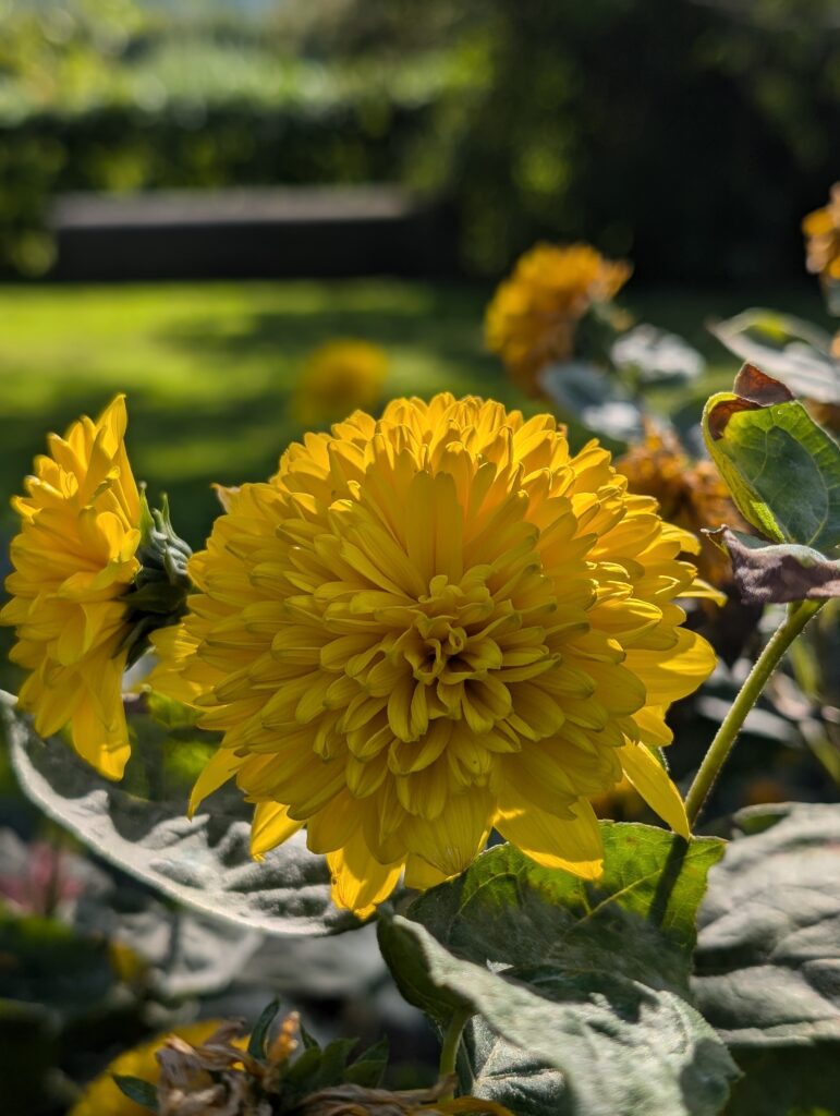 PXL_20240908_082448337.PORTRAIT