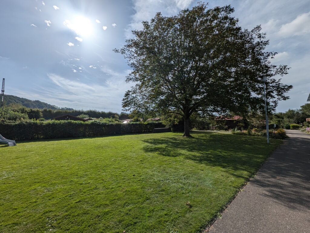 PXL_20240908_082928384