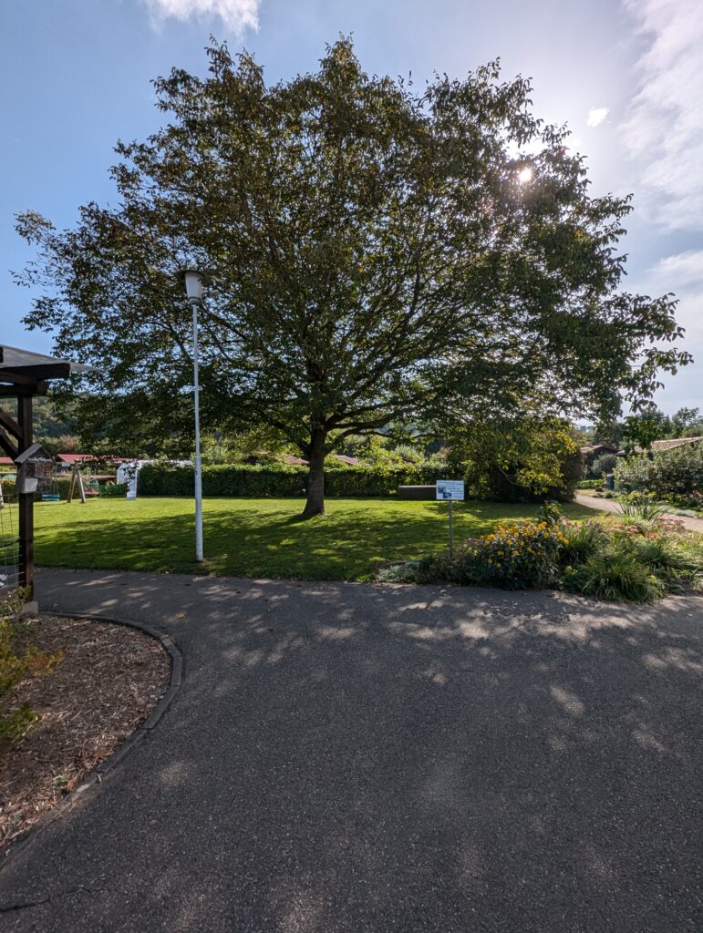 PXL_20240908_082958682