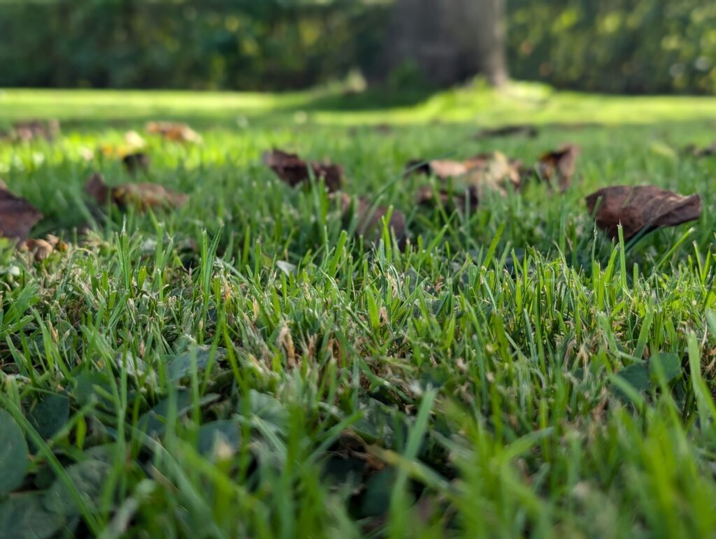 PXL_20240908_083028988.PORTRAIT