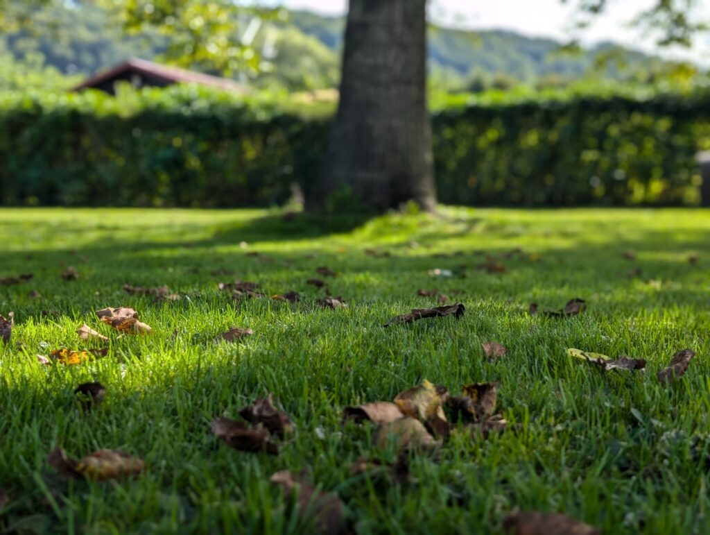 PXL_20240908_083034909.PORTRAIT