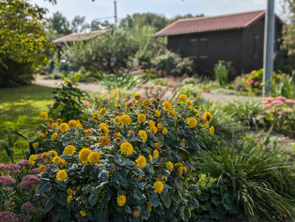 PXL_20240908_083112867.PORTRAIT