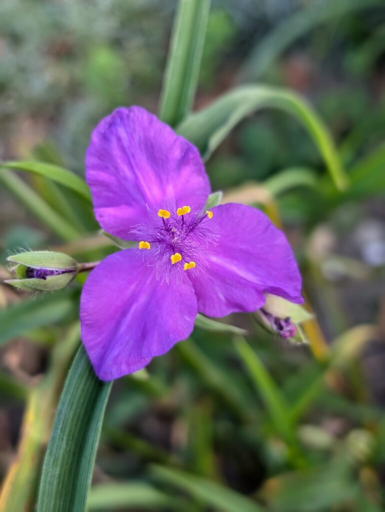 PXL_20240908_083126086.PORTRAIT