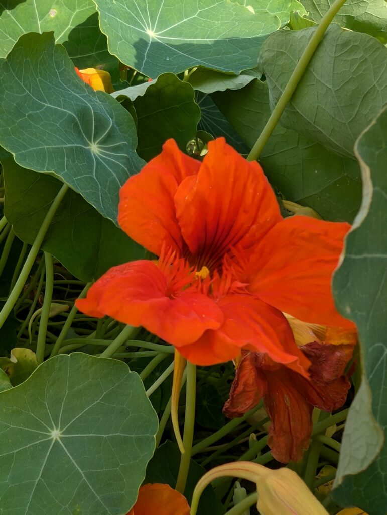 PXL_20240908_083700160